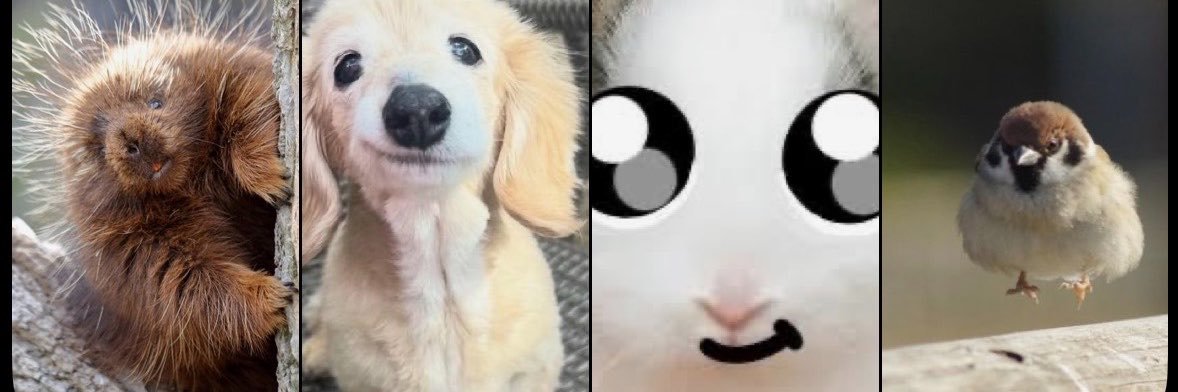 kindburgr's profile banner image