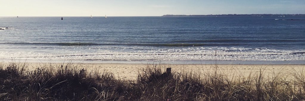 mllfv_'s profile banner image