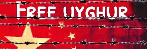 Jessi lingardinho🇵🇸🔰 banner