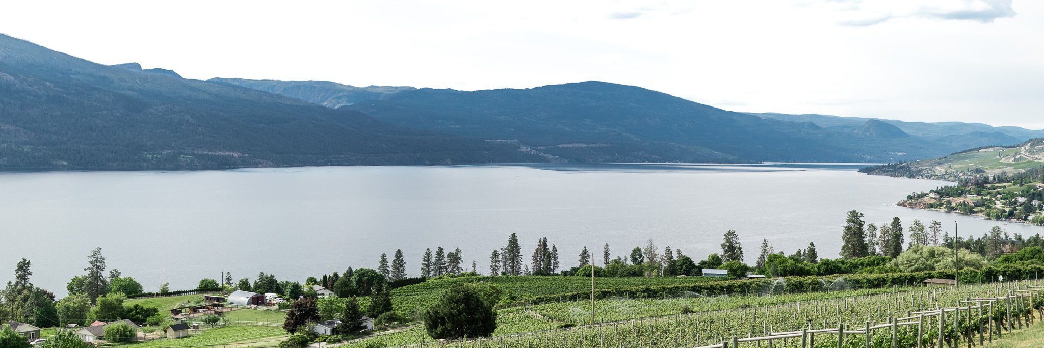 GrayMonkWinery's profile banner image