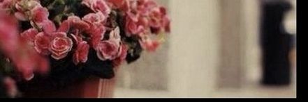 3toor2's profile banner image