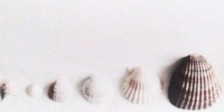 BieberGoodd's profile banner image
