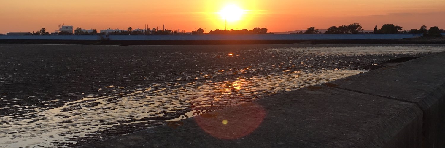 AlisterManderf2's profile banner image