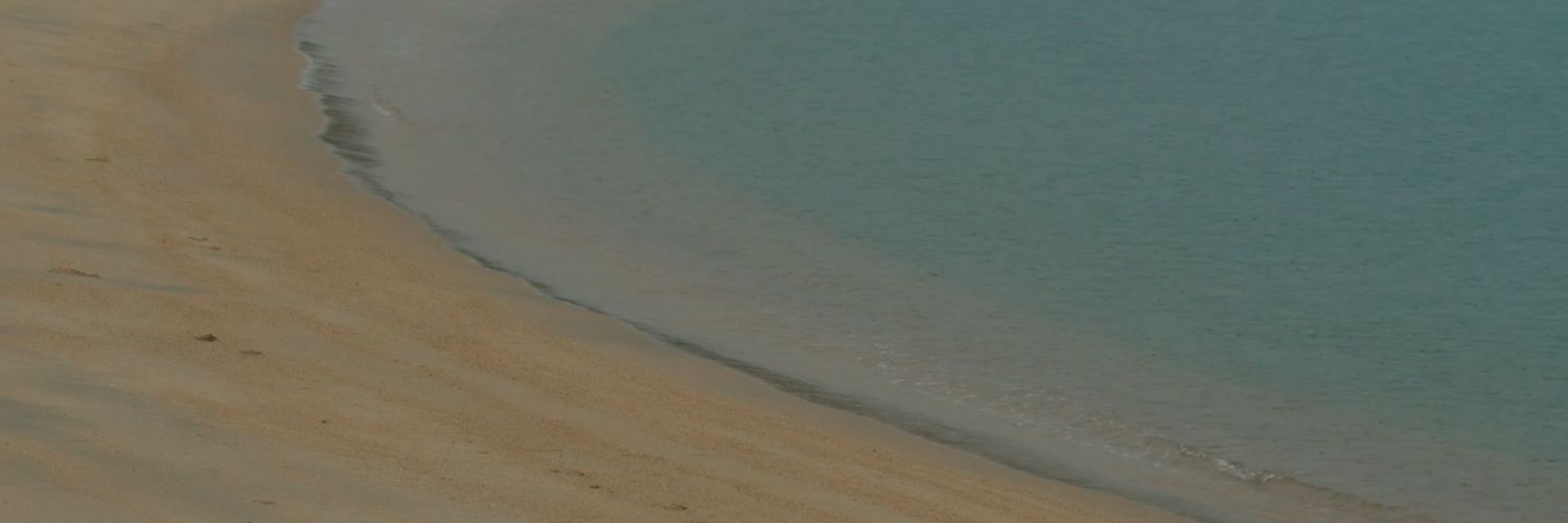 lessismorexcom's profile banner image