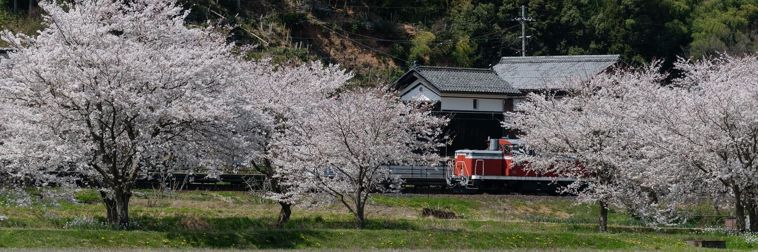 なやかな banner