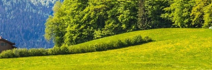 2013Naifs79's profile banner image