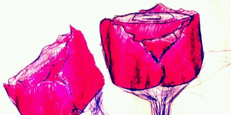 alba_heo's profile banner image
