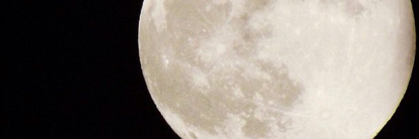 vasqueeze's profile banner image
