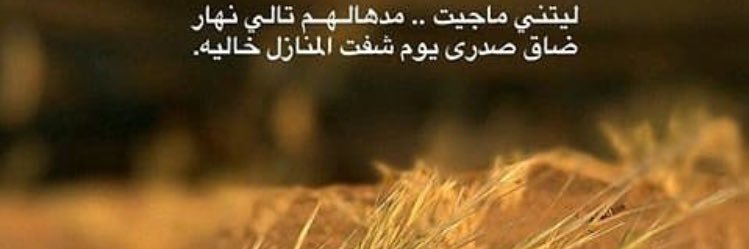 a11aaxa's profile banner image