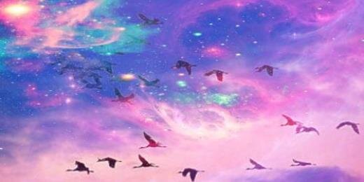PhillpsCarly's profile banner image