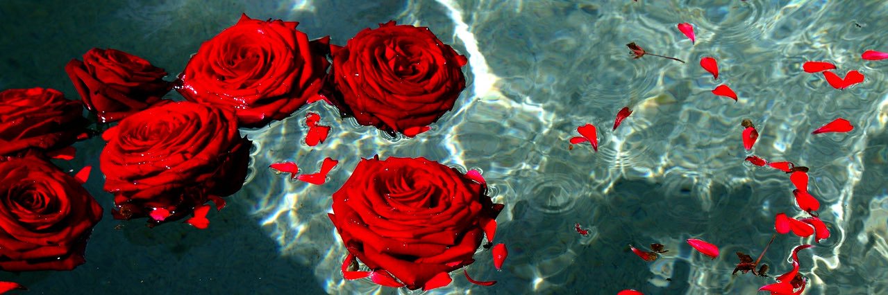 JaliaJaly's profile banner image