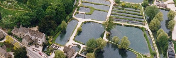 Bibury Trout Farm banner