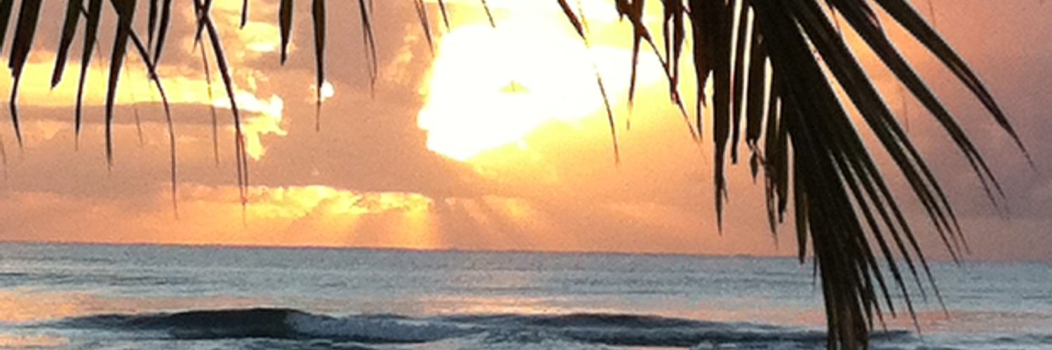 SueSross's profile banner image