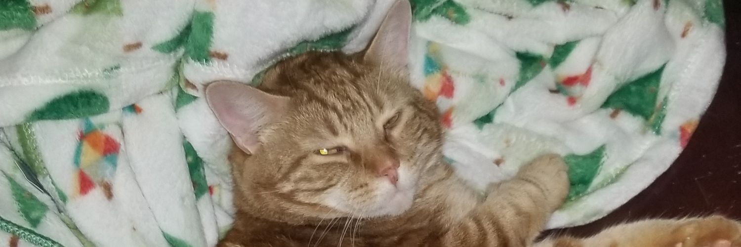TheOGJacobV's profile banner image