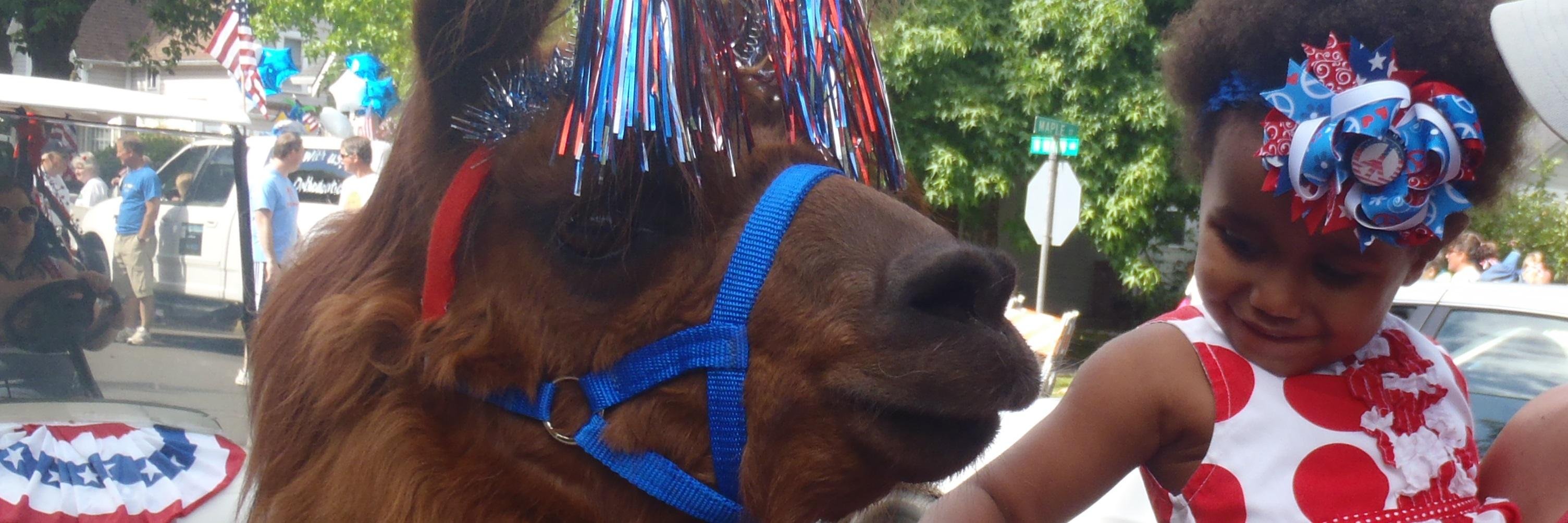 RojoTheLlama's profile banner image