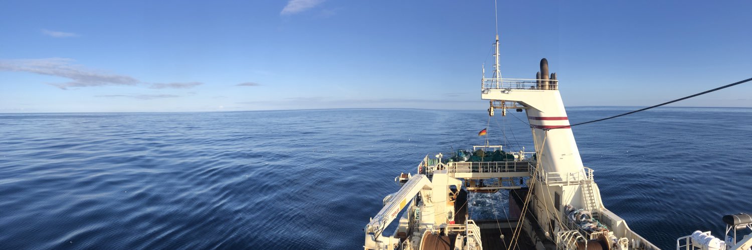 Weltraumfellechsenmann ~ banner