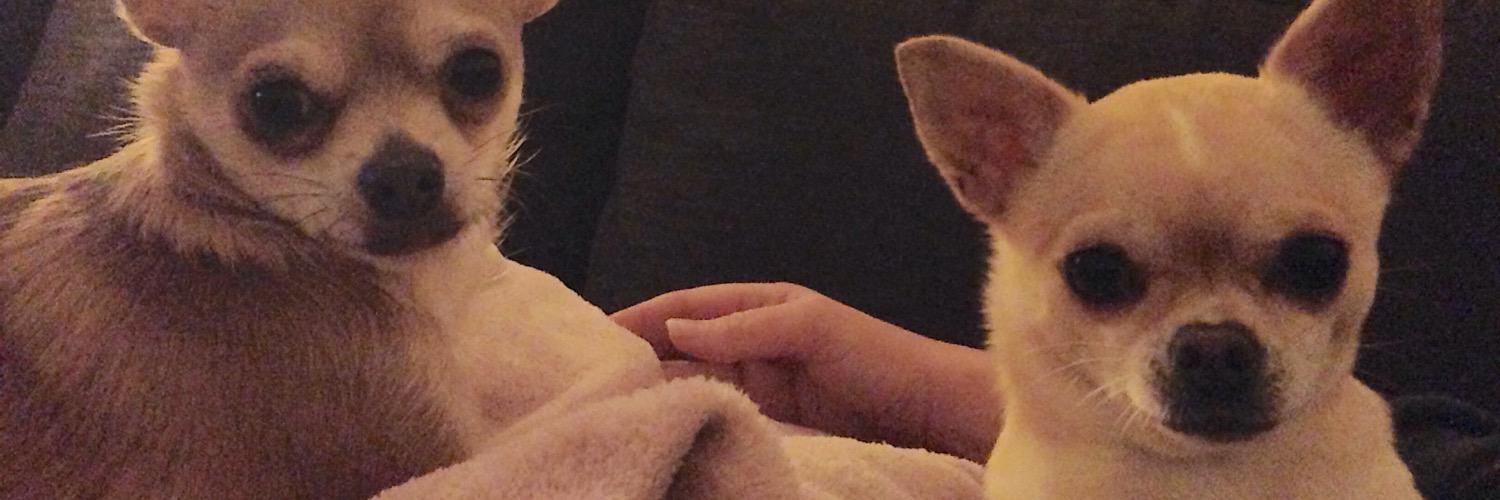 Beccyboop13's profile banner image