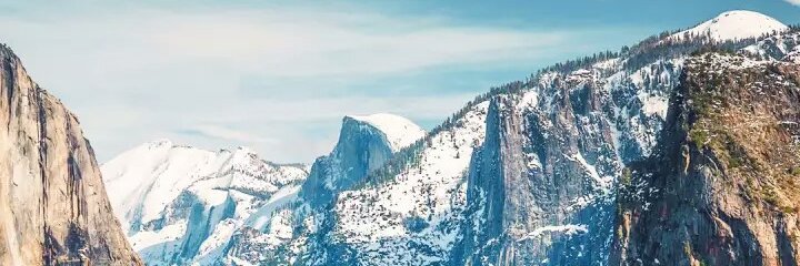 Curious banner
