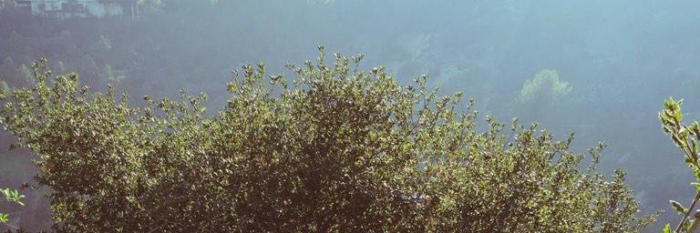biebdino's profile banner image