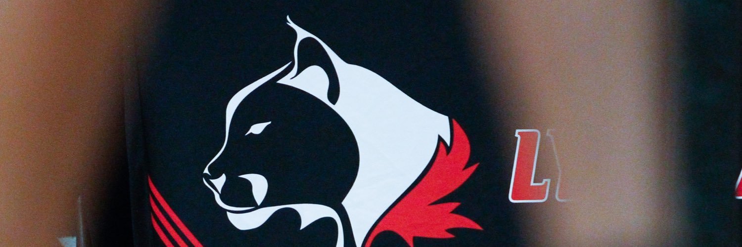 slsspedersen's profile banner image