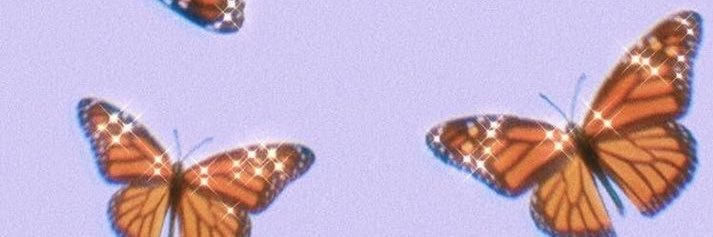 _lacocs's profile banner image