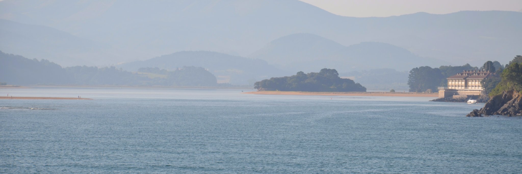 Esther Calvete banner