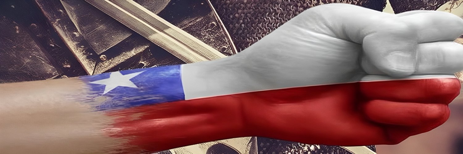 Romu 🇨🇱 banner