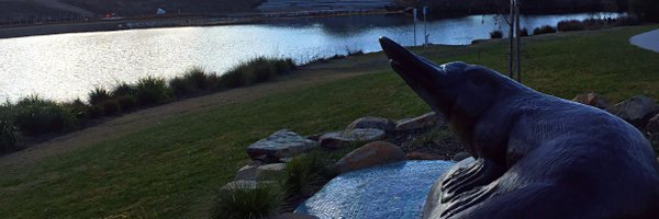 queanbeyanage Profile Banner