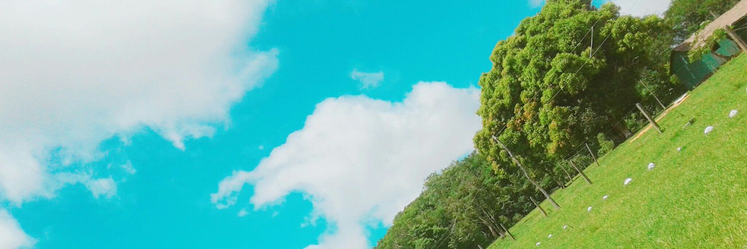 DaiiuF_19's profile banner image