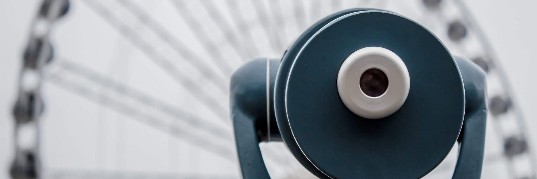 Lisa Ann Schreier banner