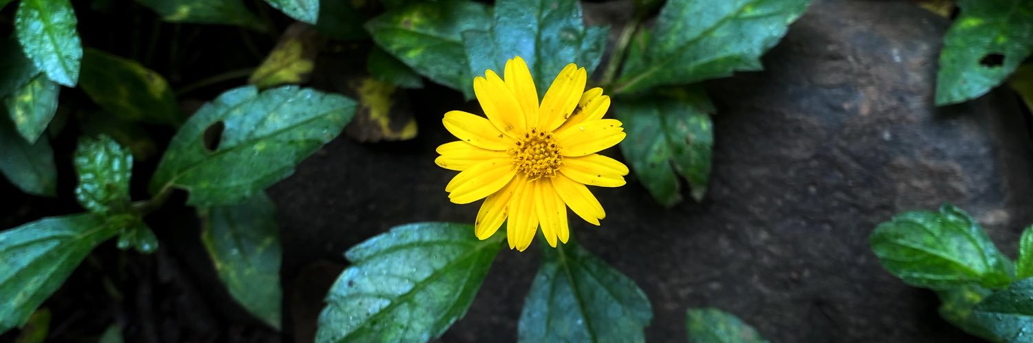 SagarkumarRaval's profile banner image