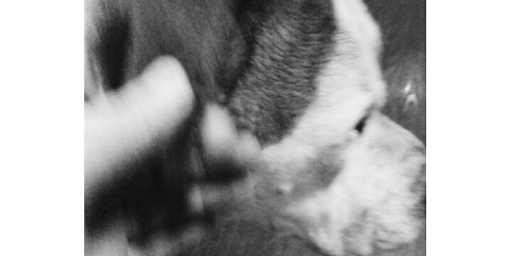 letraswab's profile banner image
