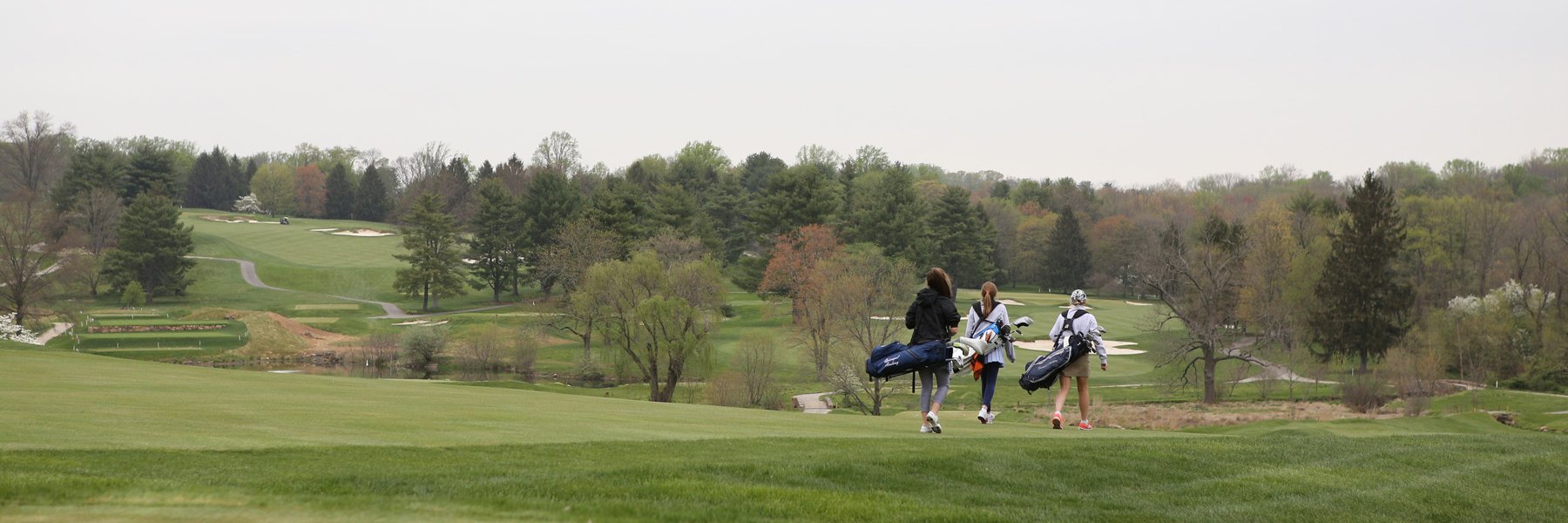ea1785_GGolf's profile banner image