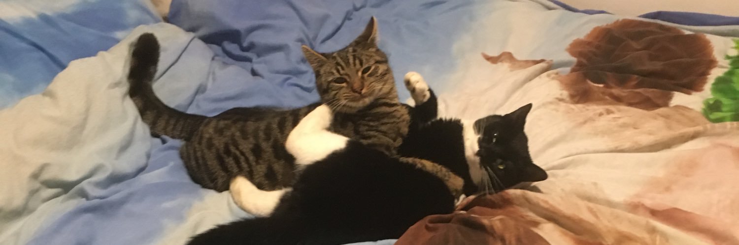 MattNorthcott_'s profile banner image