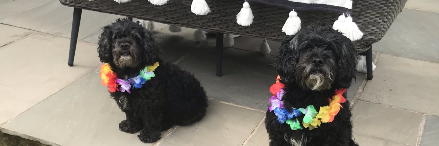 HouriganMaxine's profile banner image