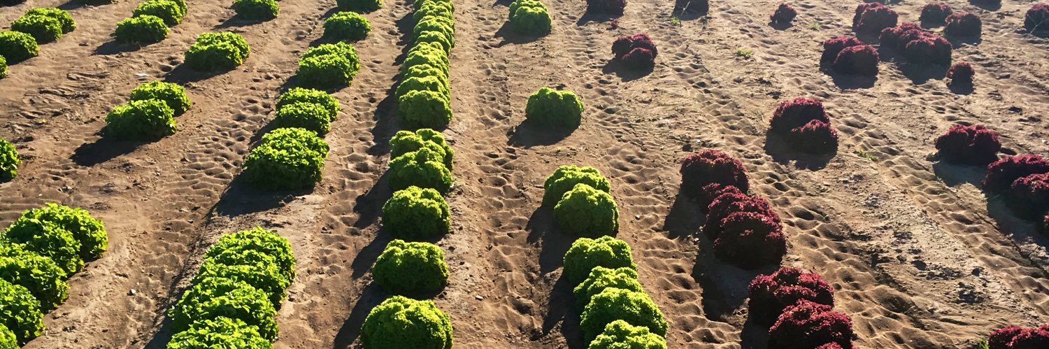 Maria Fernández-López banner