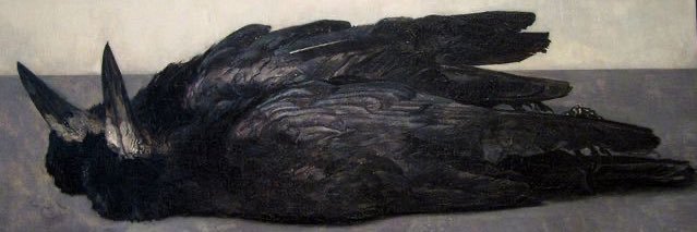 🐦‍⬛ banner