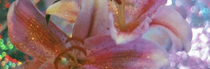 feneella's profile banner image