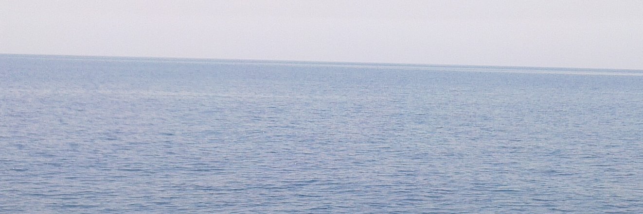 بشير معضاد banner