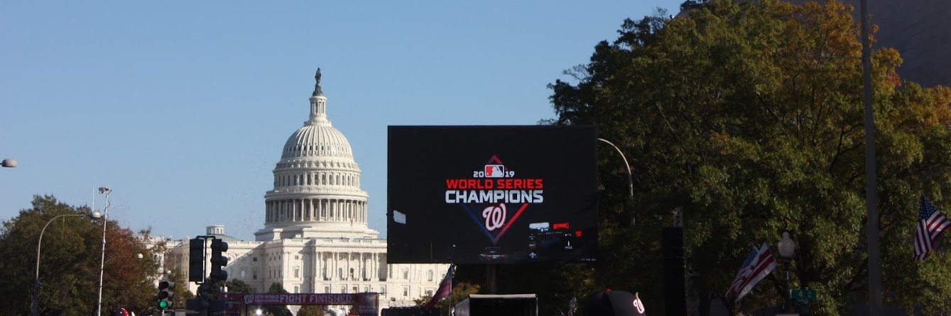 Matt's Bats banner