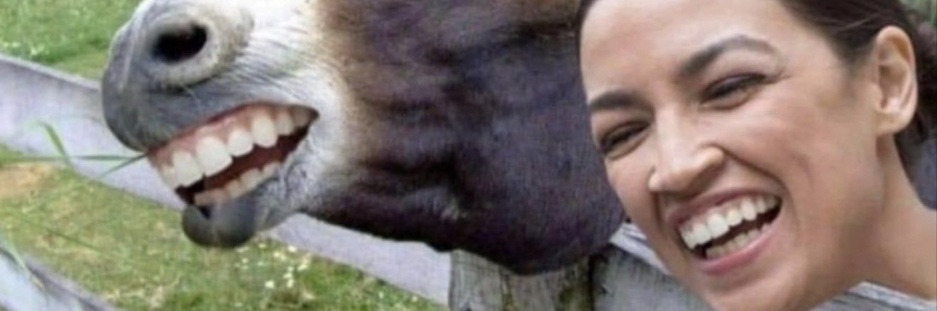 @FoundAnIdiot! banner