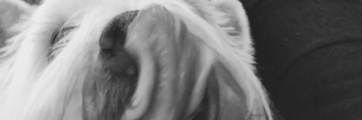 katherine_mac5's profile banner image