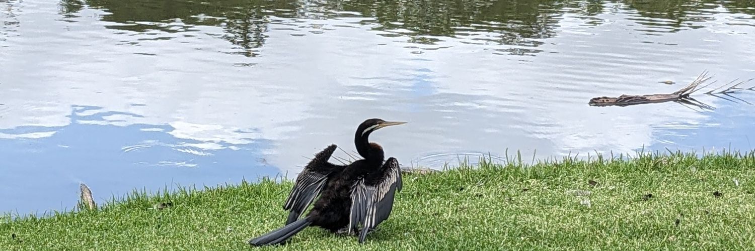 Wang shuai (Dylan) banner