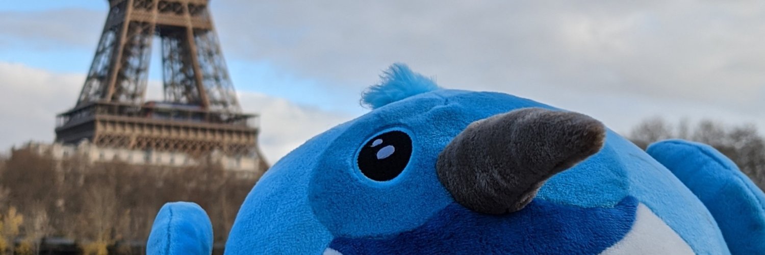 Flutter Paris 💙 banner