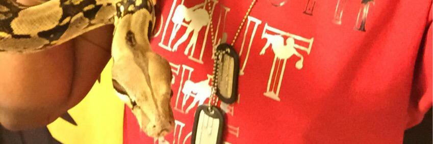 ★ King Domo banner
