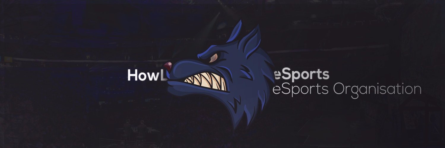 HowLeSPS's profile banner image