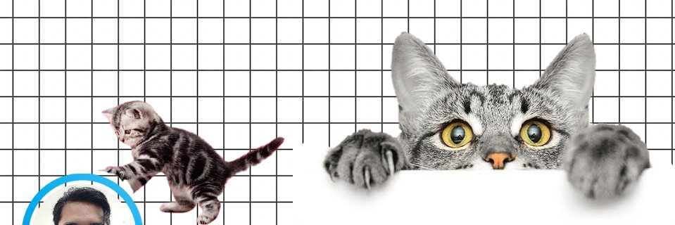 denistxy's profile banner image