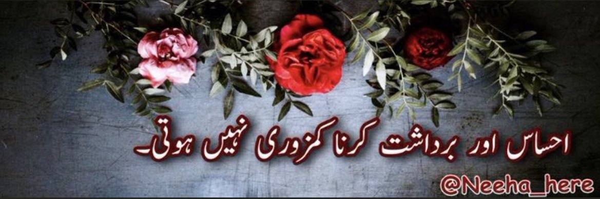 🌹Neeha Siddiqui🌹 banner