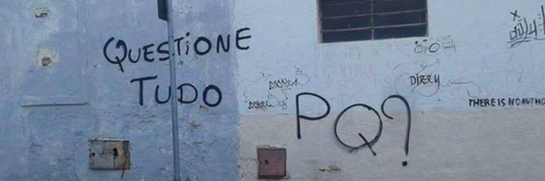 pitbull do samba banner