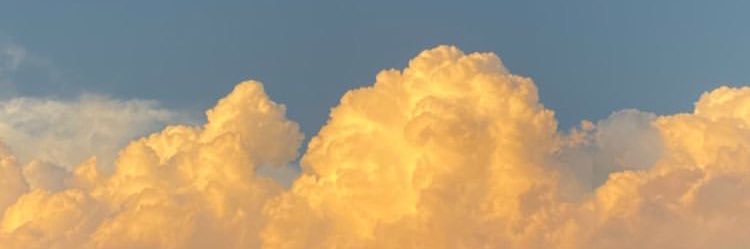 melyfdz1's profile banner image